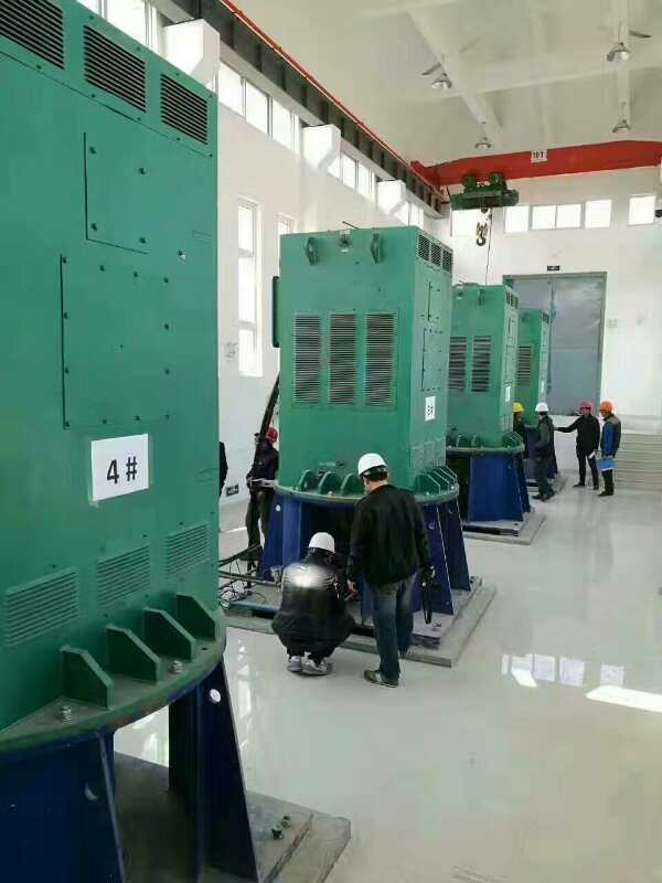 兴仁某污水处理厂使用我厂的立式高压电机安装现场生产厂家